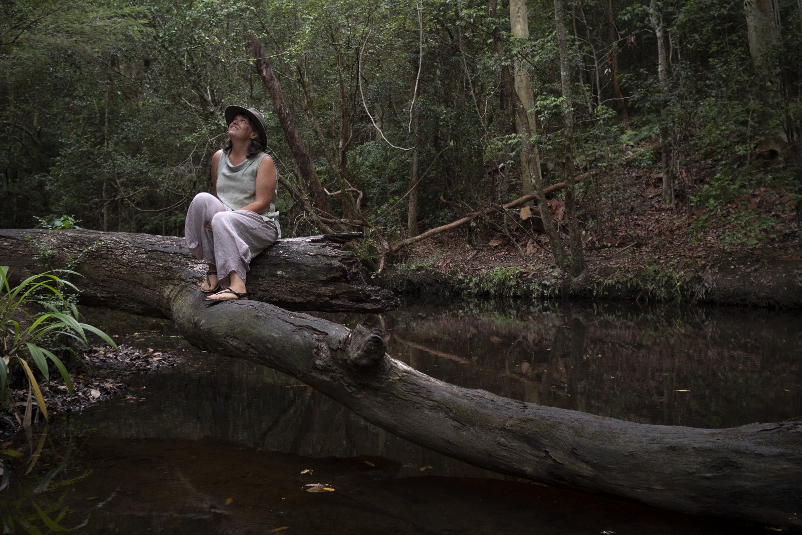 Tricia D. Walker - Nature writer & nature connection guide
