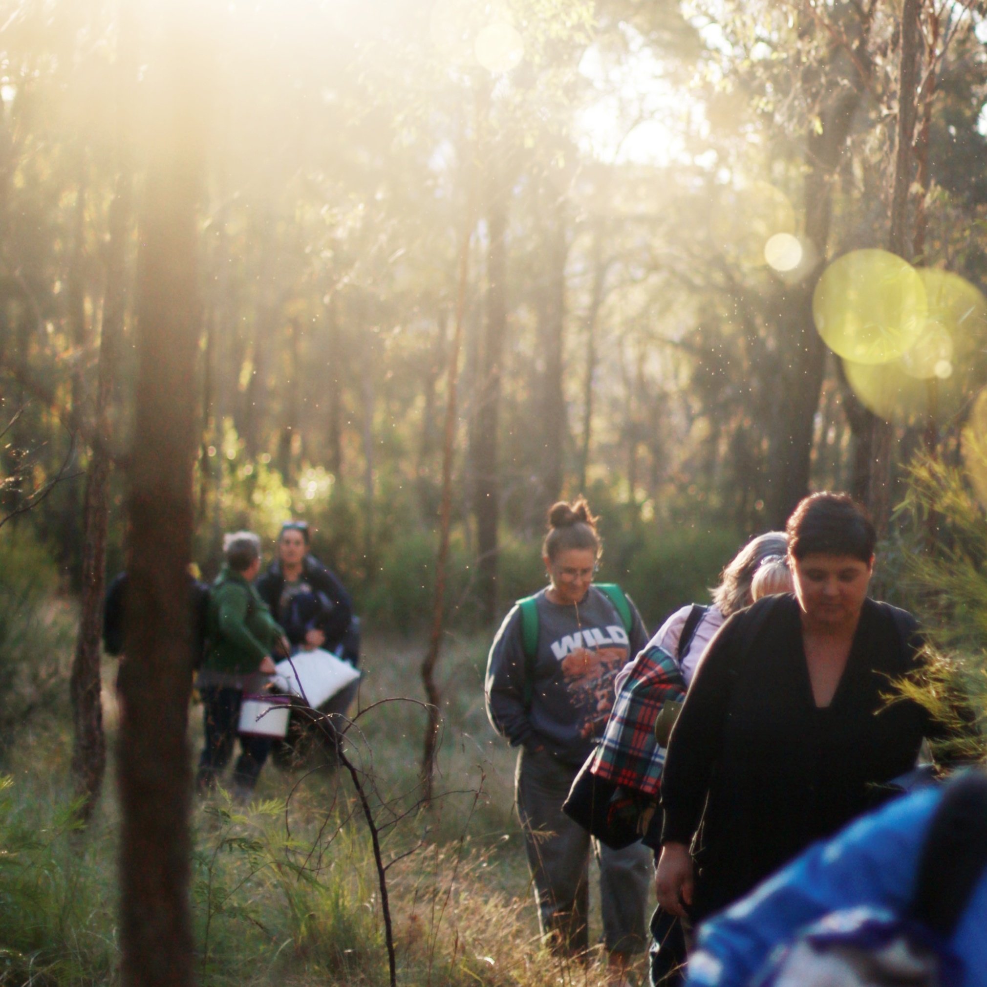 Women walking through forest as the sun sets